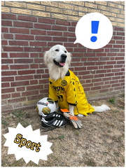 Bruce Sport